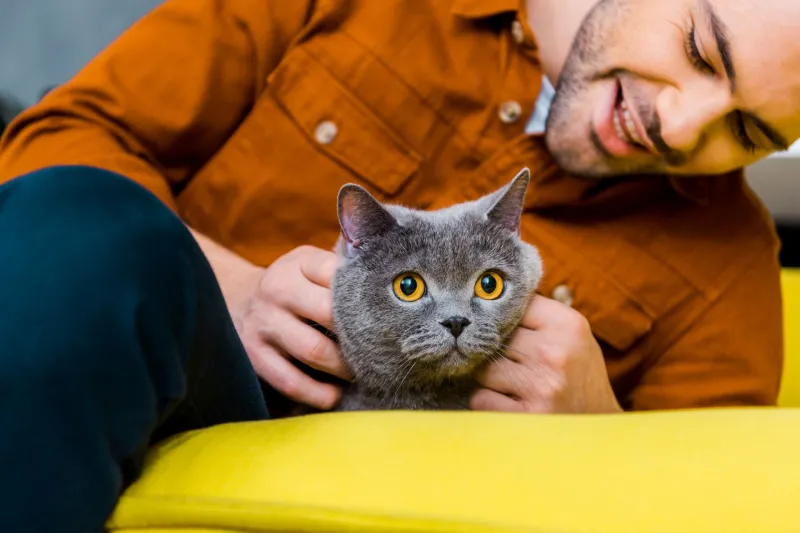 A young man cuddling his grey cat on a bright yellow sofa