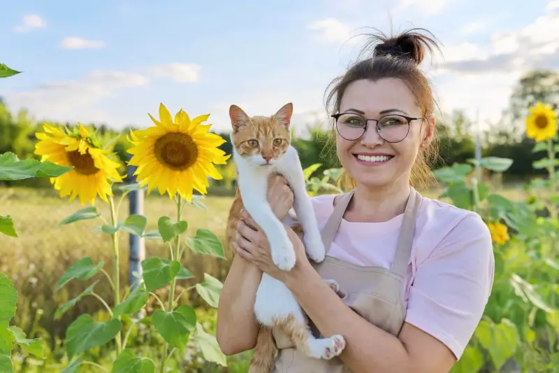 A smiling woman holding her ginger and white cat in a field of sunflowers