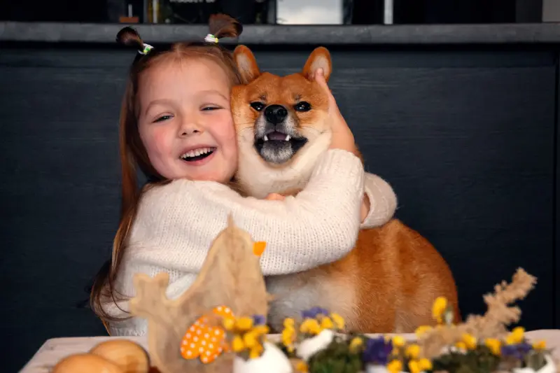 A young girl hugging her shiba inu at a table