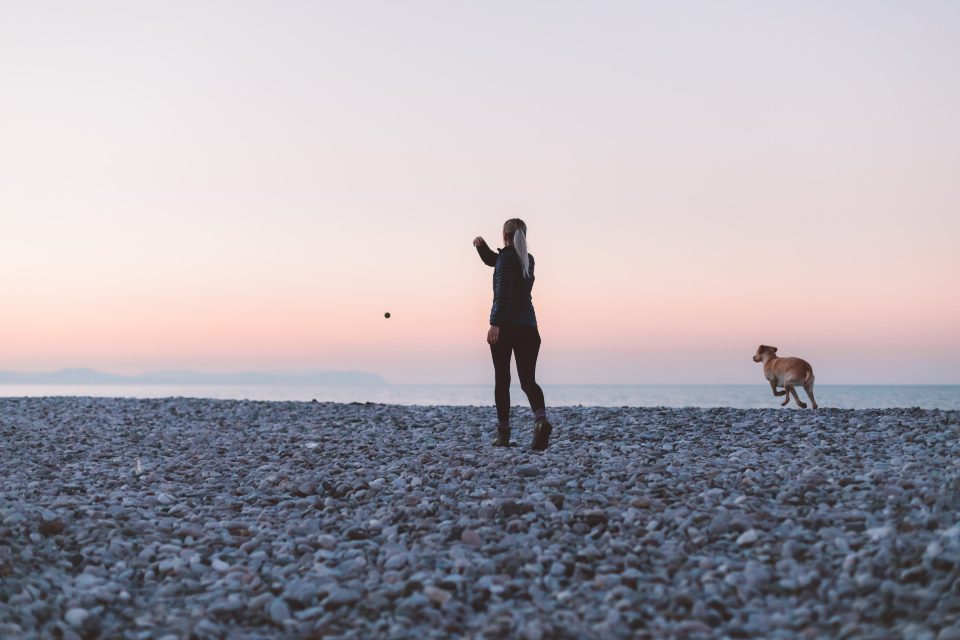 A person standing on an open shoreline at dawn with a dog running nearby