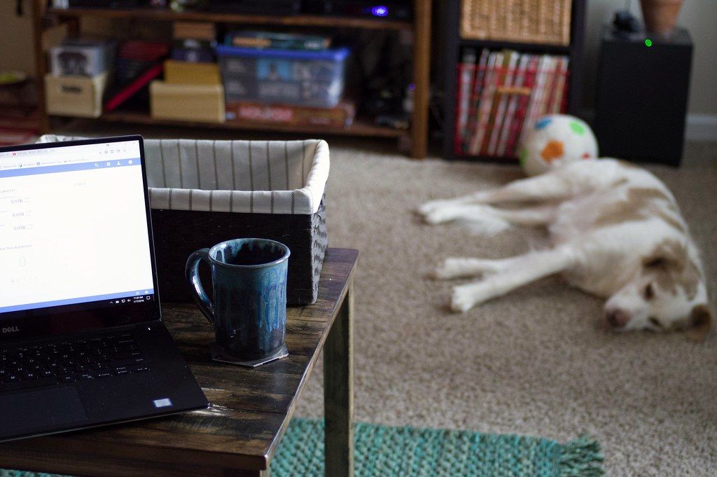 Laptop and mug on a low table while a white dog rests on the carpet nearby
