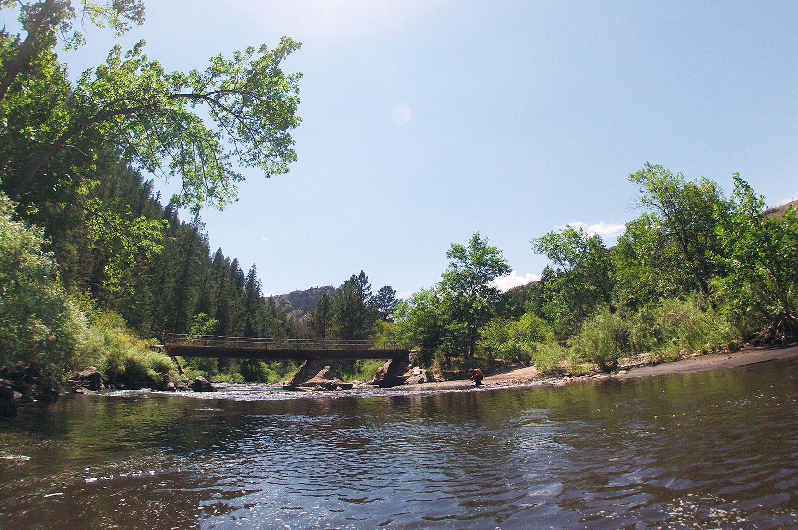 Cache la Poudre River flowing past cottonwoods and a footbridge in Poudre Canyon