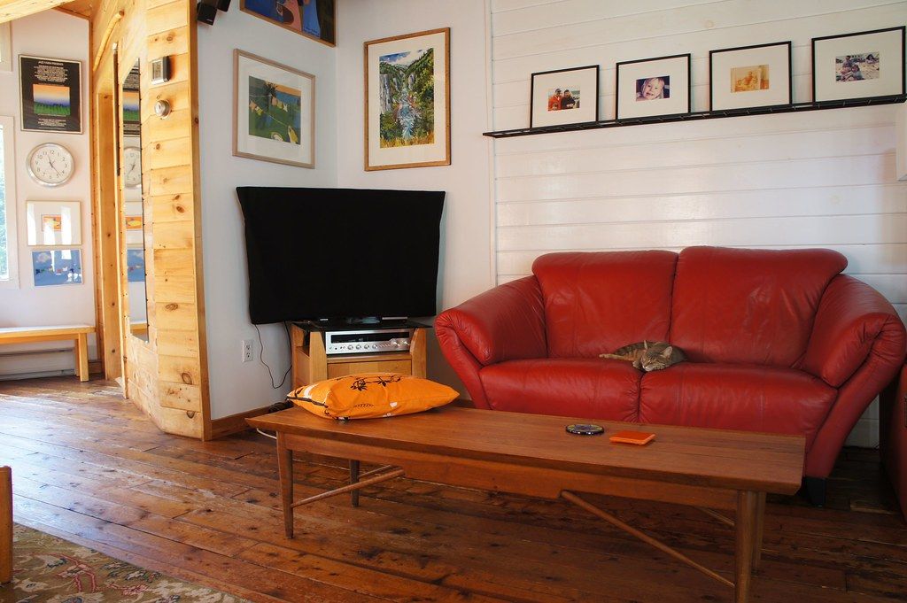 Living room with a red leather sofa, wooden floor and framed pictures, with a cat resting on the couch