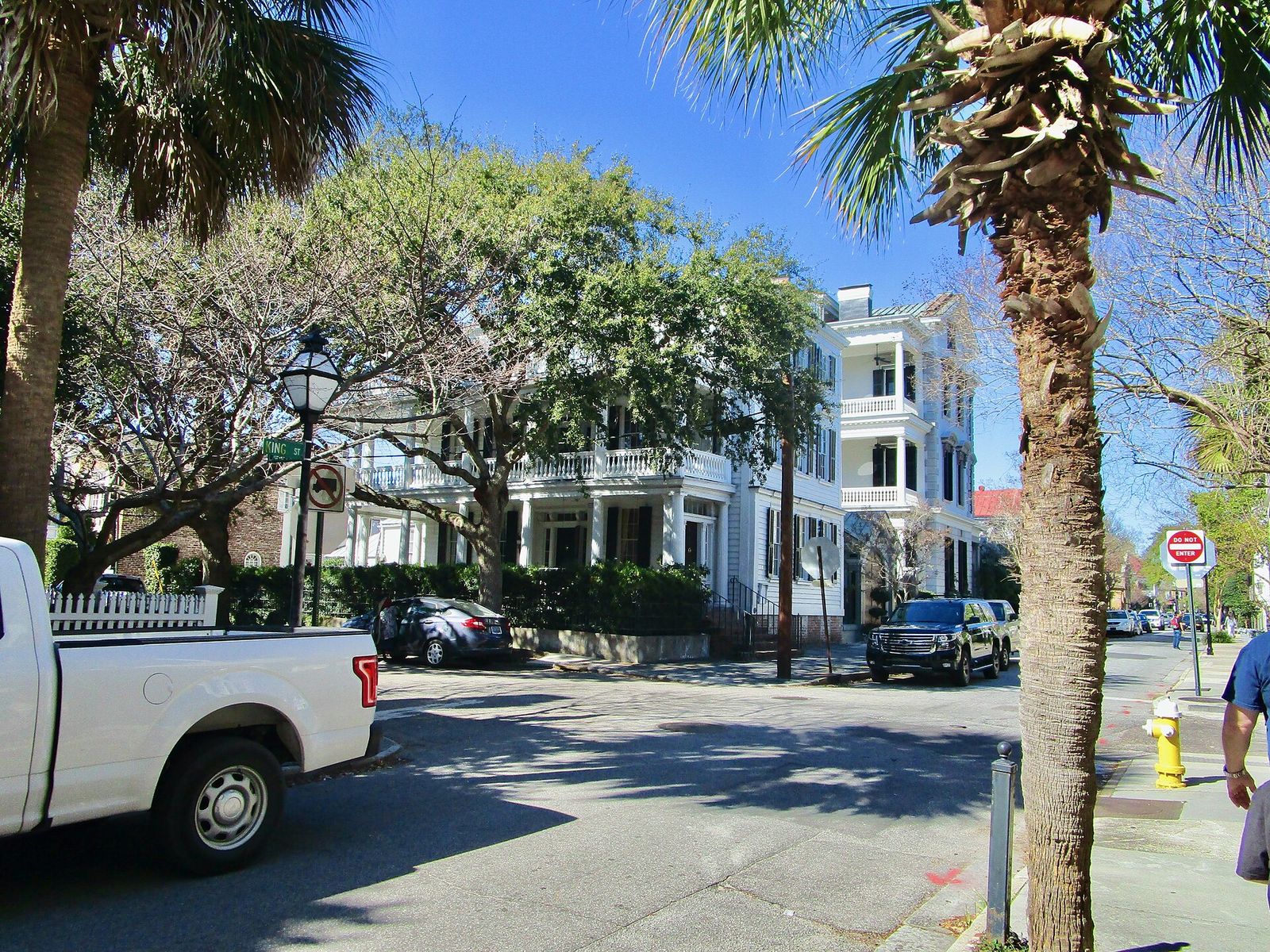 Painted historic houses under palmetto trees on a residential street in Charleston
