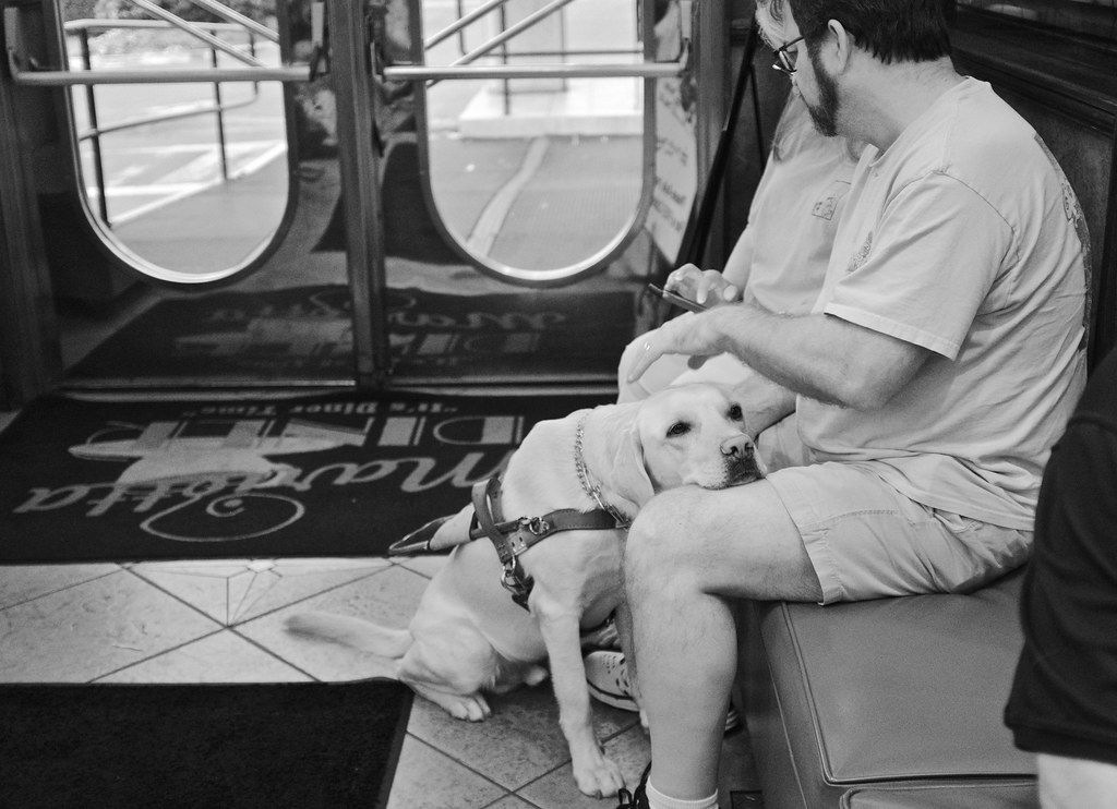 Black and white photo of a person seated on a train holding a small dog close