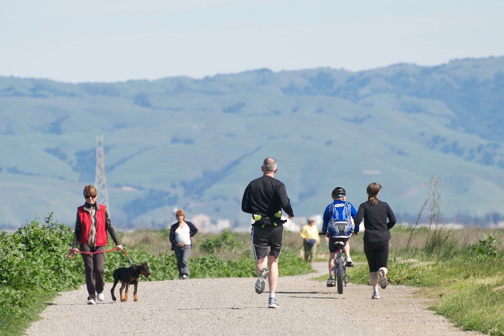 People jogging, biking and walking a dog along a sunny path with hills behind