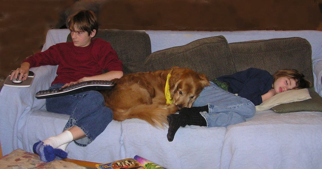 Young people resting on a couch with a golden retriever lying between them