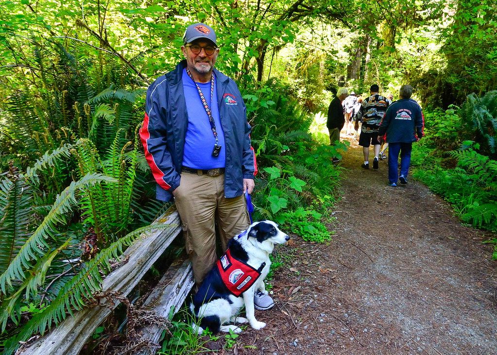 Park visitor on a forest trail with a black and white assistance dog wearing a vest
