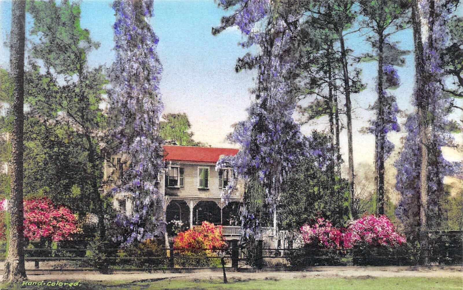 Vintage postcard of a large Summerville home framed by wisteria, pines and azaleas