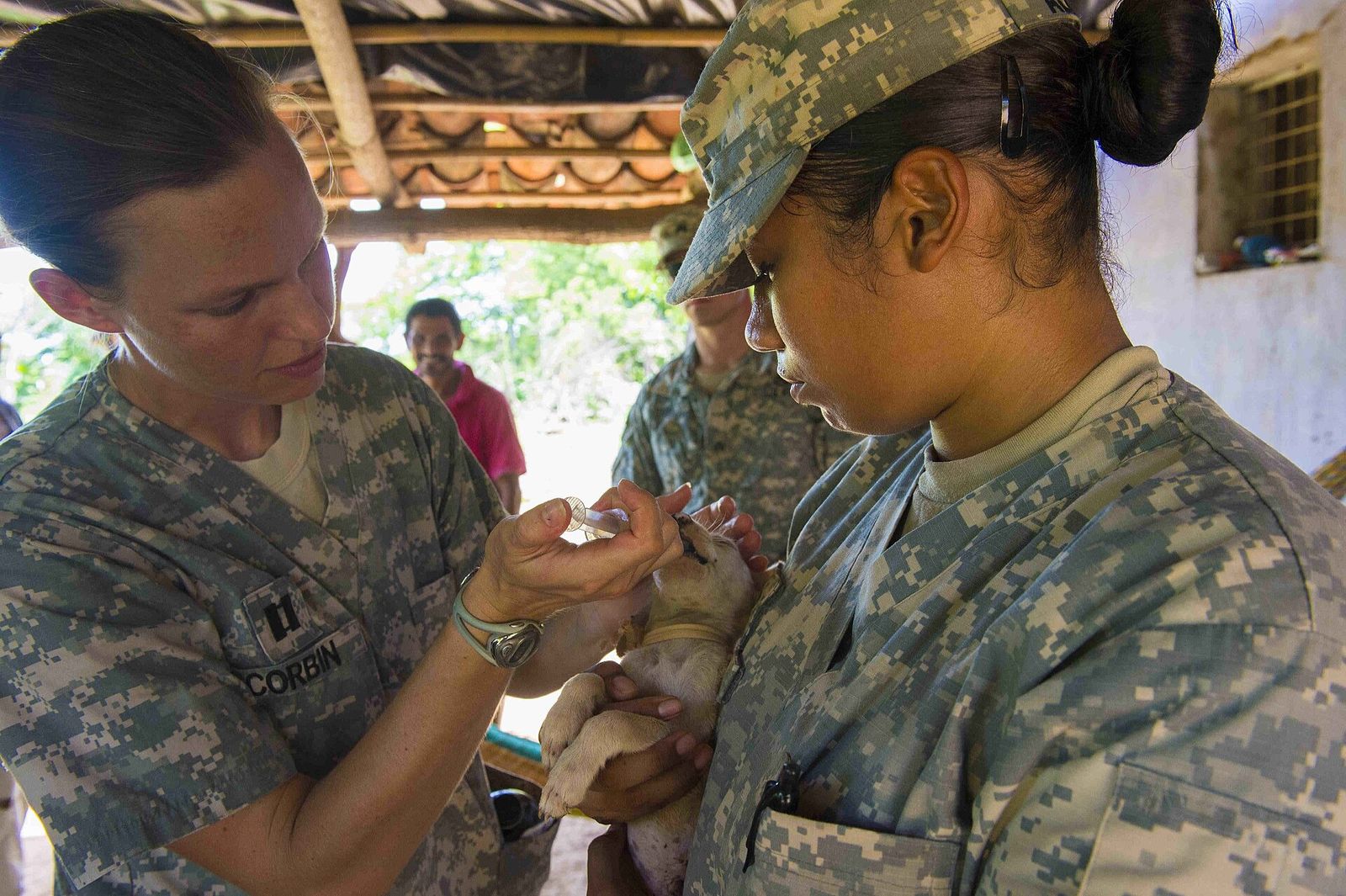 Veterinary team in uniform giving a puppy a vaccination