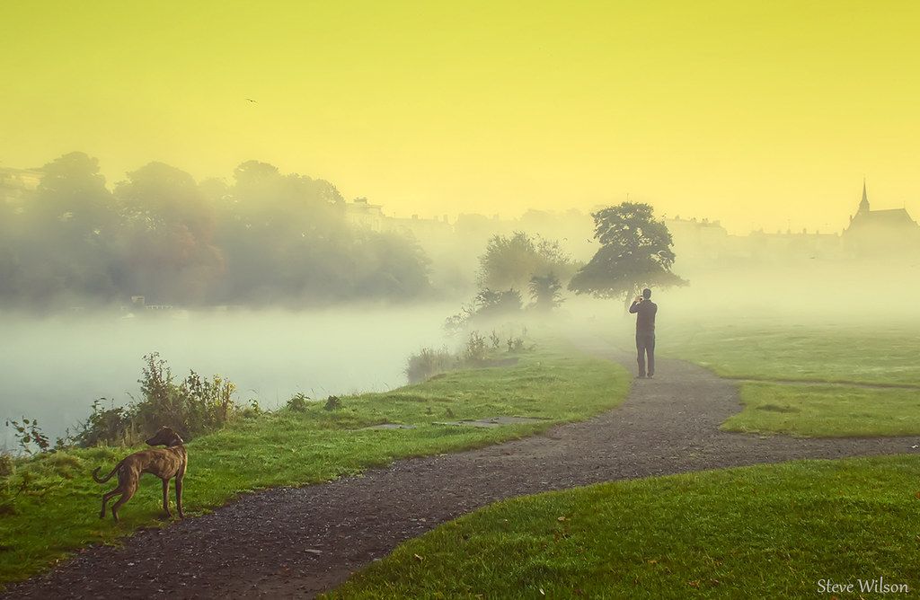 Person walking a dog along a misty park path at sunrise