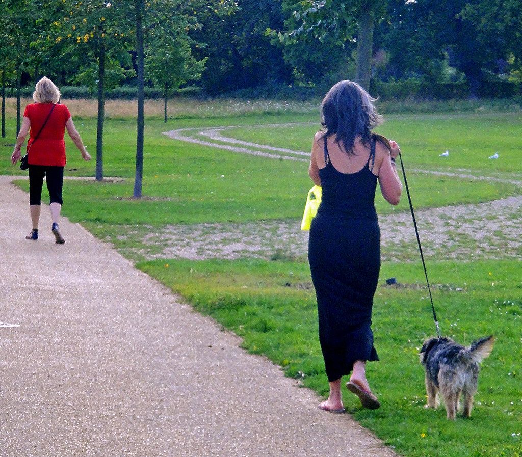Person walking a small dog along a paved park path lined with grass and trees