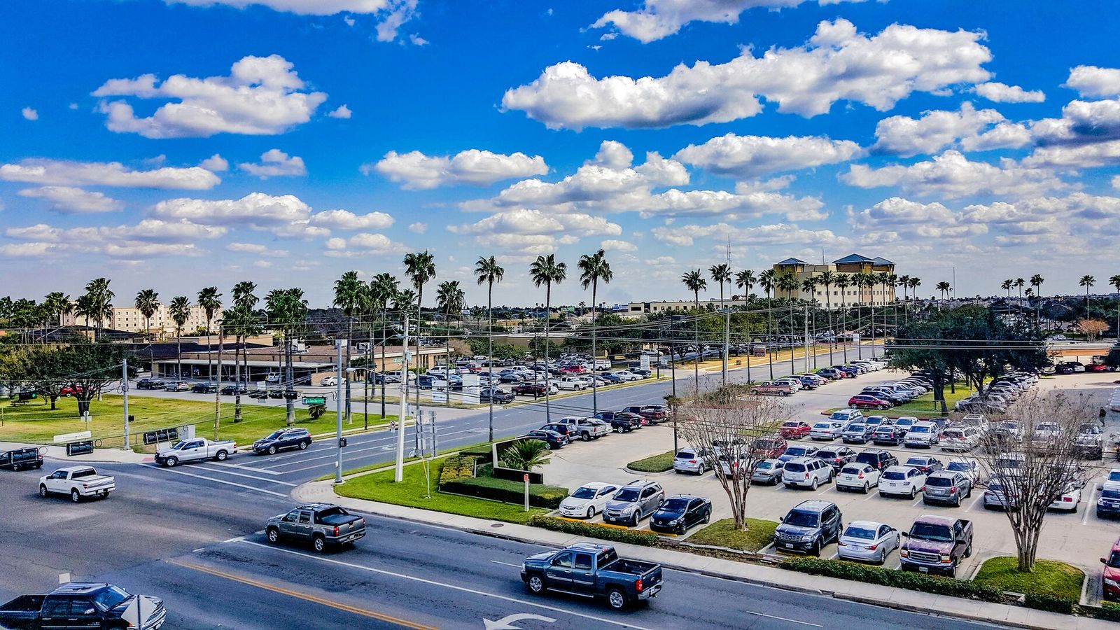 Palm-lined boulevard and shopping district in McAllen, Texas under a bright sky