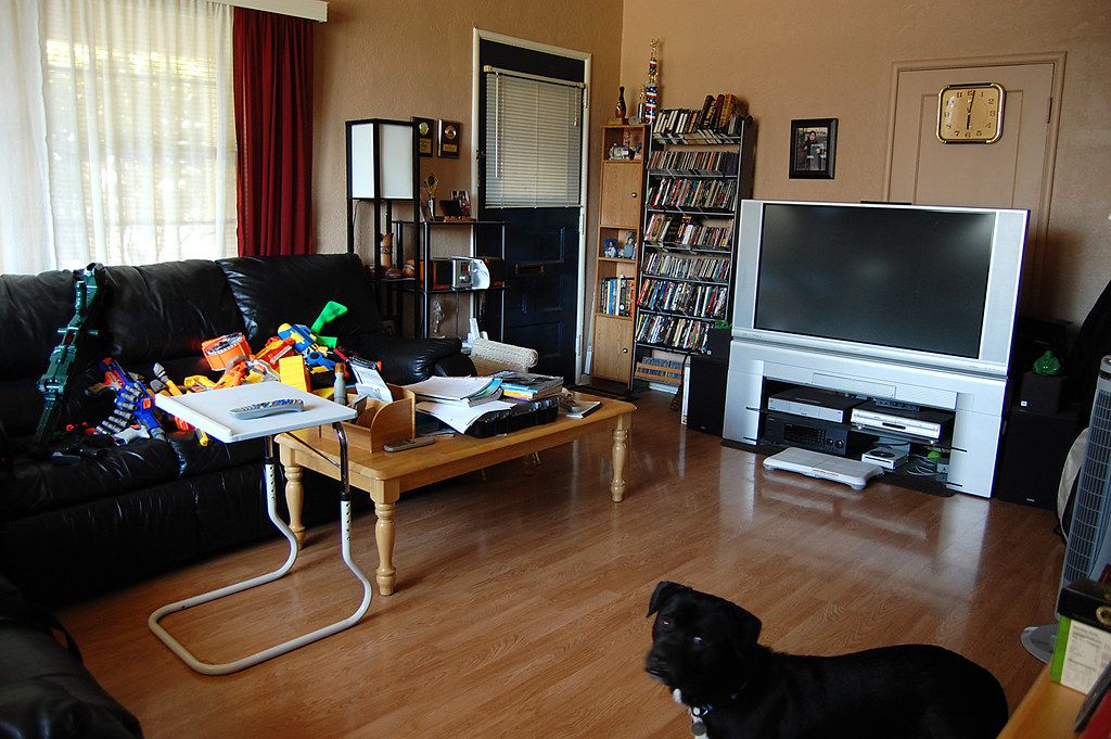 Black dog resting on the wood floor of a lived-in living room