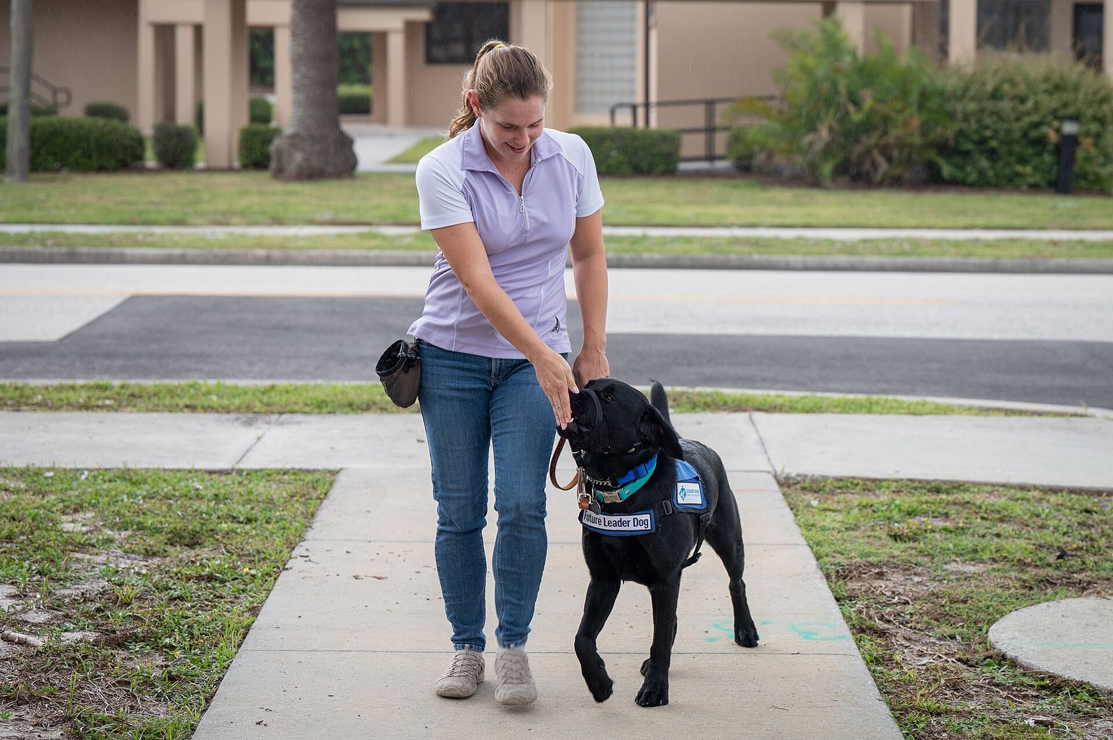 Woman walking a black Labrador in a service dog vest along a sidewalk