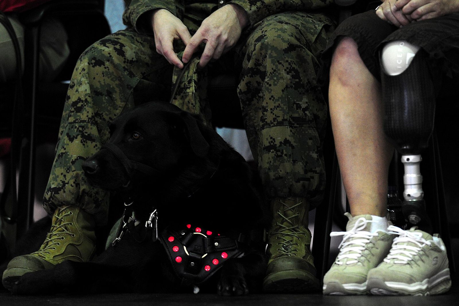 Black service dog in a vest lying at the feet of seated service members, one in camouflage