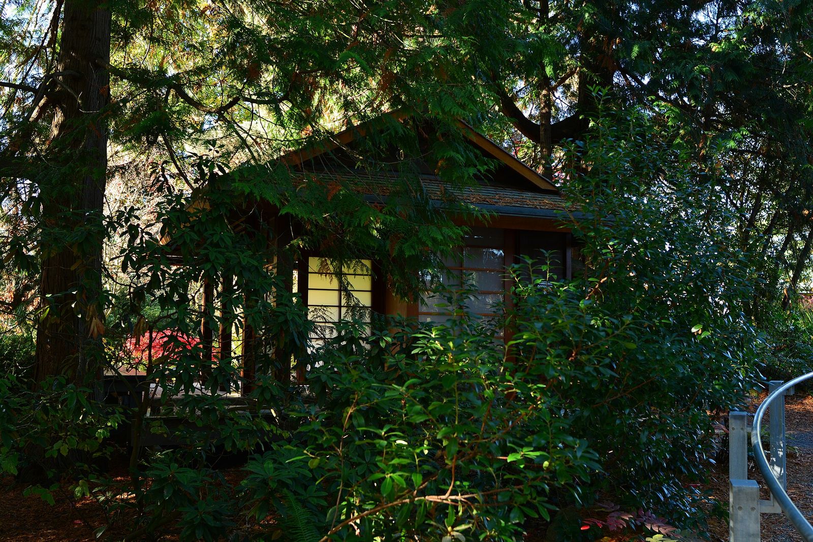 The Tateuchi viewing pavilion at the Bellevue Botanical Garden