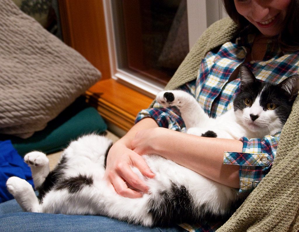 A person holding a small dog close