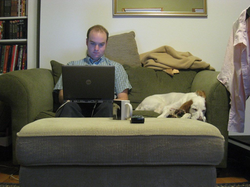 A person working on a laptop at home with a dog resting nearby
