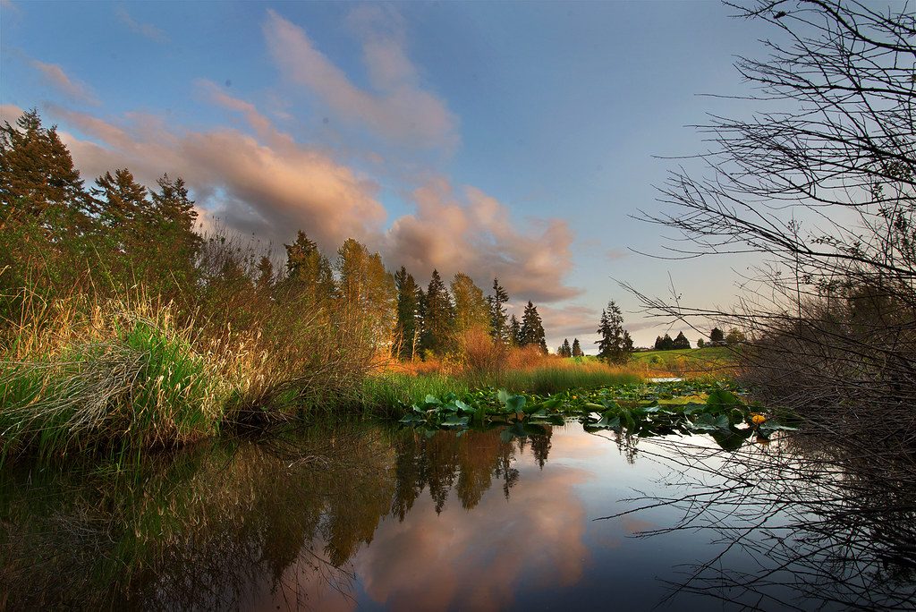 Sunset over the water at Clark Lake Park in Kent