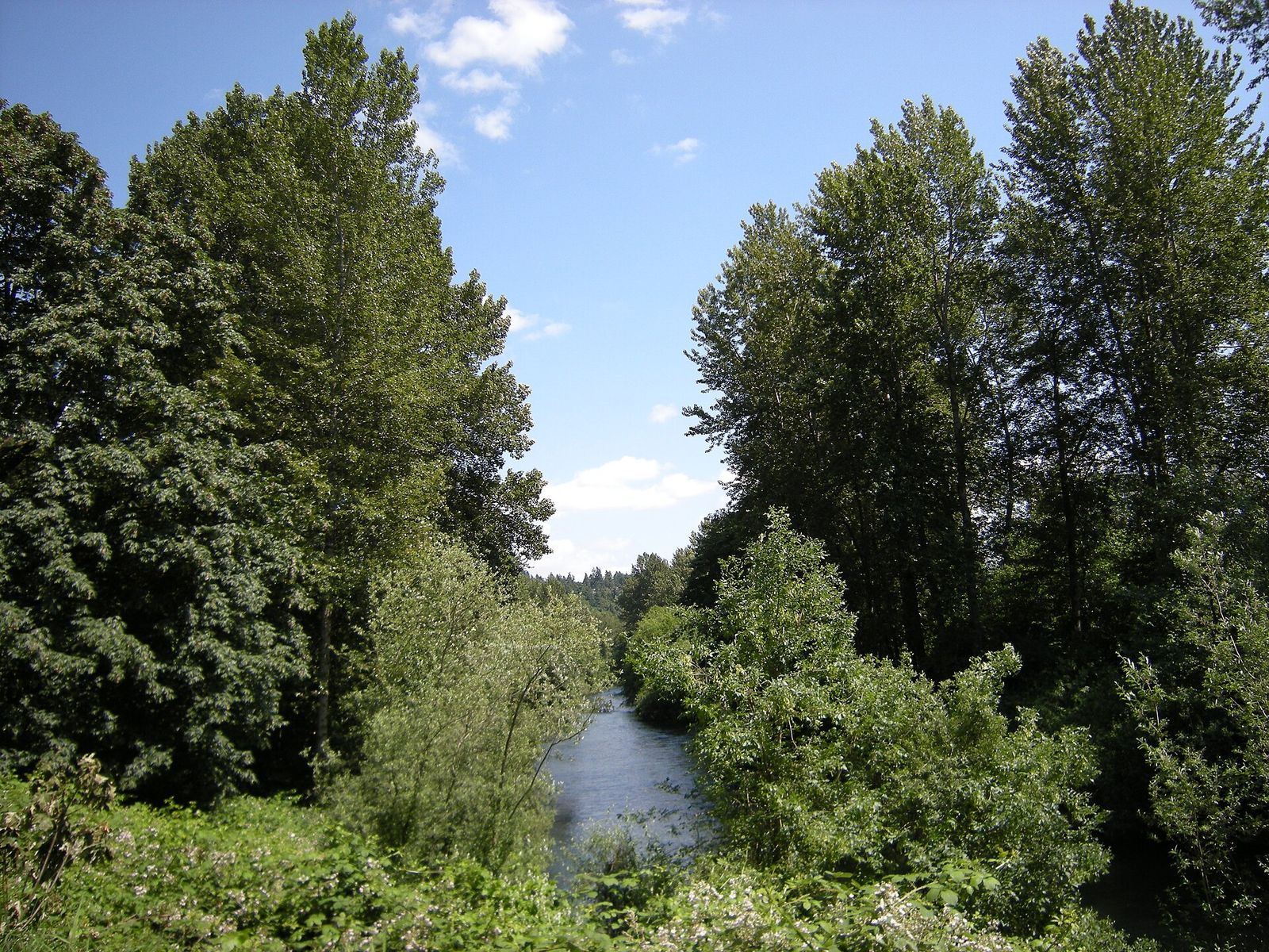 Open lawns and trees at North Green River Park in Kent