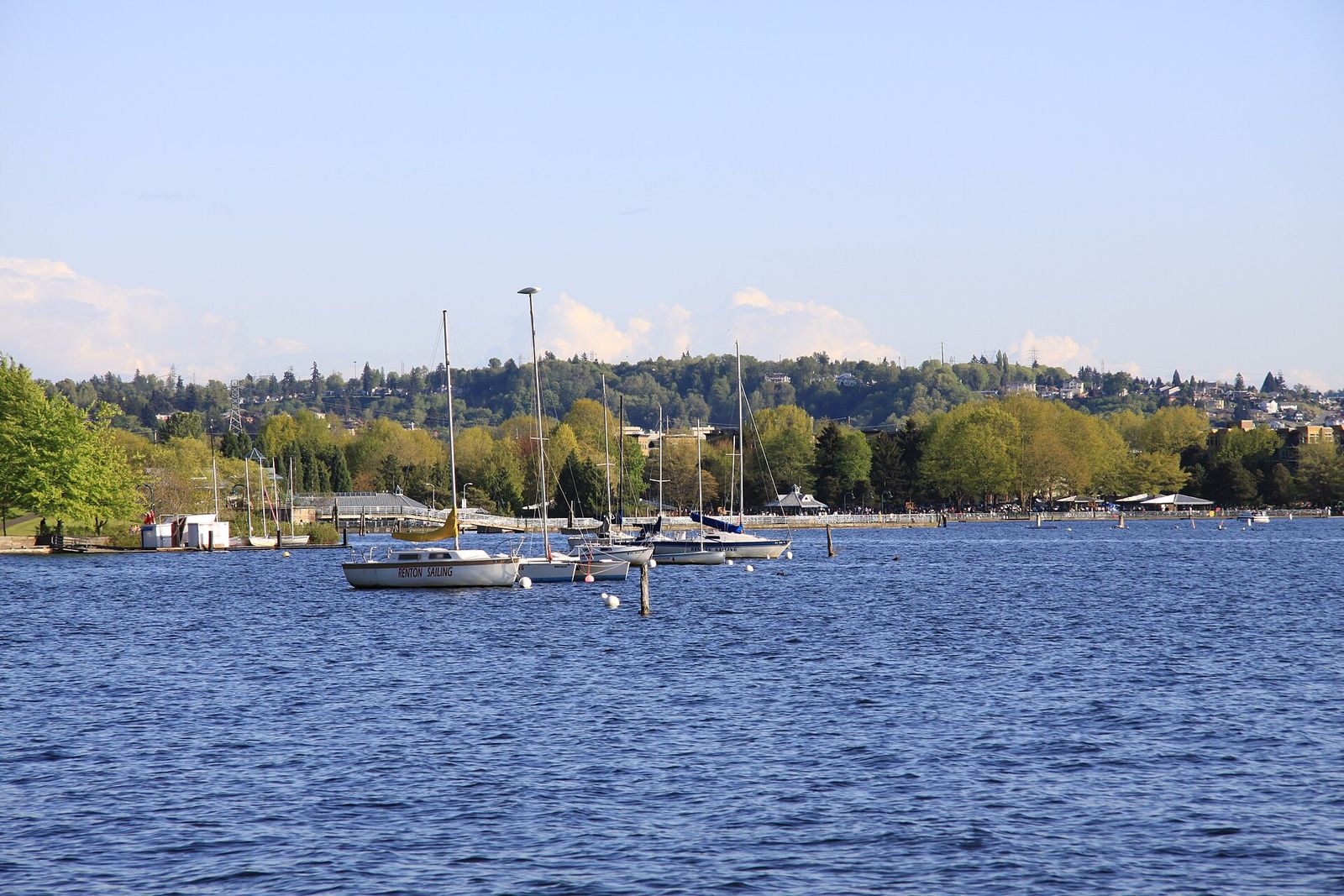 The shoreline and picnic areas of Gene Coulon Memorial Beach Park in Renton
