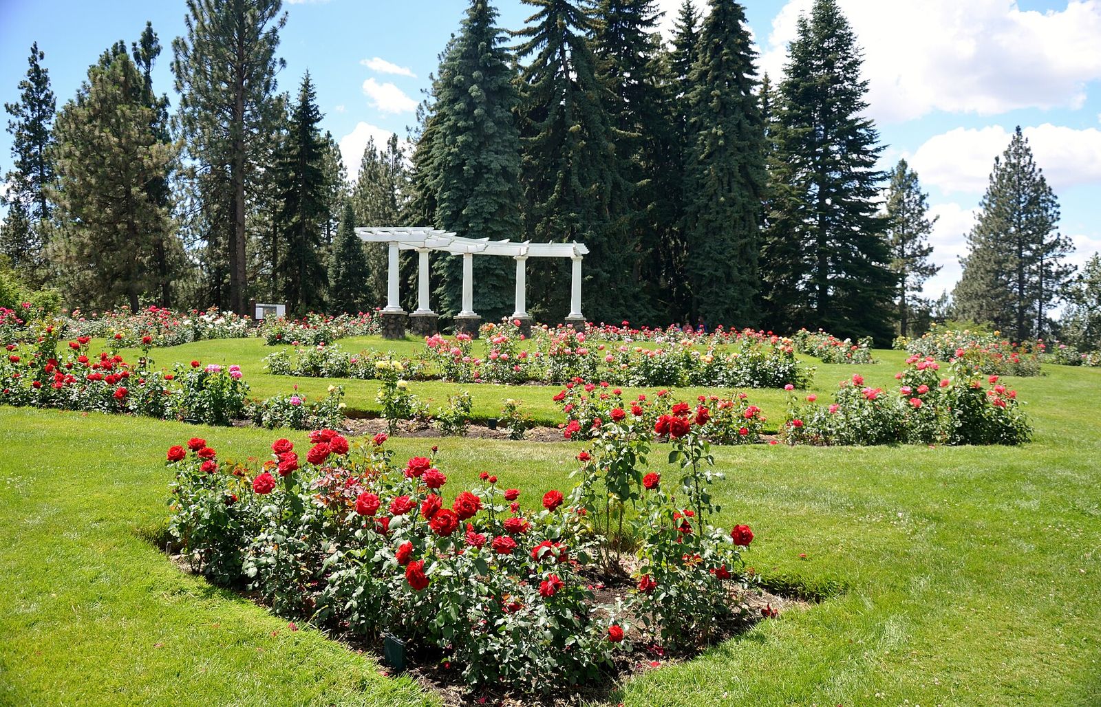 Formal rose beds and a stone colonnade in Manito Park, Spokane