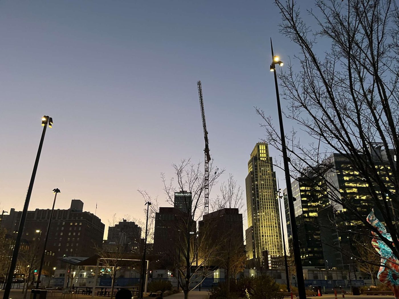 The Omaha skyline at dusk seen through bare trees